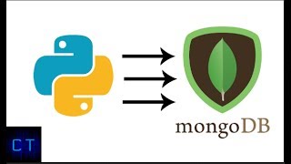 Insert data to MongoDB using Python script [upl. by Esekram]