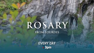 Rosary from Lourdes  16062024 [upl. by Birchard]