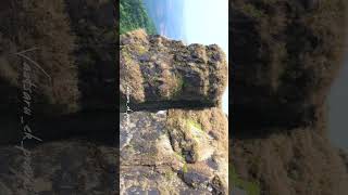 Tringalwadi  Tringalwadi fort  igatpuri  whatsapp status  reels [upl. by Hillari]