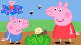 Peppa Pig  Tiny Creatures  Read Aloud Kids Storybook peppapig [upl. by Nnyled]