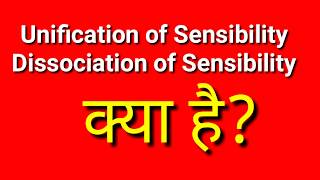 Unification of SensibilityDissociation of Sensibility explained byREC [upl. by Suiraj]