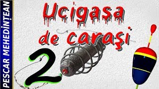 Ucigaşa de caraşi 2 [upl. by Naedan]