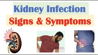 Kidney Infection Pyelonephritis Signs amp Symptoms  amp Why They Occur [upl. by Mack124]