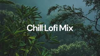 Chill Lofi Mix chill lofi hip hop beats [upl. by Kirshbaum596]