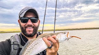 3 Days Bank fishing Dauphin Island and Artificial Reefs [upl. by Neelahs807]