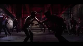 West Side Story 1961 The Knife Fight Scene HD [upl. by Nymrak]