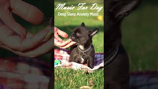 Deep Separation Anxiety Music for Dog Relaxation puppy dogsleepmusic [upl. by Christianity10]