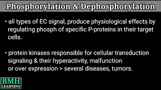 Phosphorylation amp Dephosphorylation  Protein Phisphorylation [upl. by Rickert]