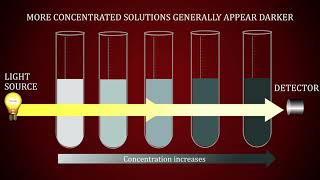 Spectrophotometric Determination of Concentration of a Solution [upl. by Friedly]