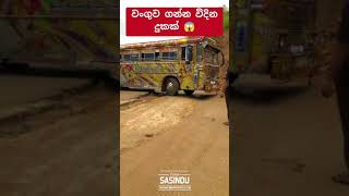 විදින දුක 😱 automobile 1millon teamsasindu trending bus sasiyabro [upl. by Ynneh]