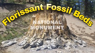 Florissant Fossil Beds National Monument  Exploring Colorado [upl. by Gentilis]