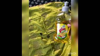 Removing oil  grease stain from silk saree in 1 min [upl. by Illah]