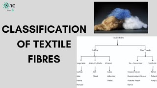 Classification of Textile Fibres Explained [upl. by Lilas]