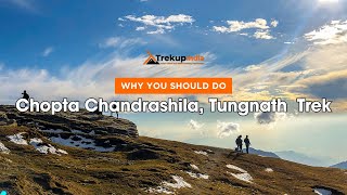 Why You Should Do Chopta Chandrashila Tungnath amp Deoriatal Trek  Trekup India [upl. by Ellehsram]