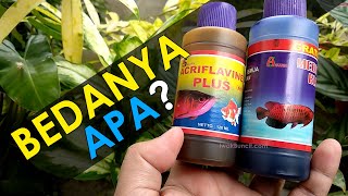 Banyak yang Belum Tahu Bedanya Metylan Blue dan Acriflavine Plus Hayo Sering Salah Pakai ya 😏 [upl. by Humfried627]