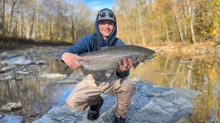 Fishing for Steelhead in Erie Pennsylvania DROUGHT CONDITIONS [upl. by Burns]