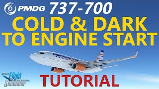 MSFS  PMDG 737 Tutorial Episode 1 Cold amp Dark to Engine Start  including Route Input [upl. by Scevour]