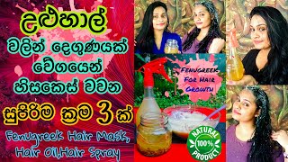 දවස් 7න් උළුහාල් වලින් දෙගුණයක් වේගයෙන් හිසකෙස් වවන ක්‍රම 3ක්  Fenugreek for Hair Growth [upl. by Saxet]