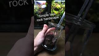 How To Make a Terrarium [upl. by Berkin50]