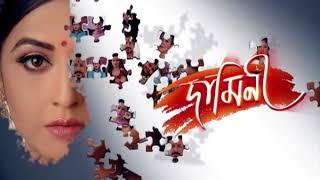 Damini  দামিনী  16th Aug 2018  Full Episode  Episode No 04 [upl. by Aneryc786]