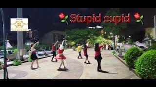 Stupid cupid cha KruNOM Leelawadee powerGold plus linedanceSamchai Hatyai [upl. by Odom951]