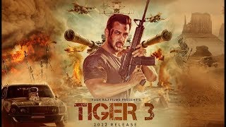 Tiger 3  Full Movie HD Facts  Salman Khan  Katrina Kaif  Emraan Hashmi  Shahrukh Khan  MANEESH [upl. by Emalee]