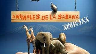 Animales de la Sabana Africana  Programo Unidad Didáctica [upl. by Cora]