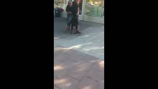 Rottweiler vs amstaff fight [upl. by Quillan]