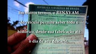 Consultar Documento Pelo RENAVAM ou Placa DETRAN [upl. by Carey]