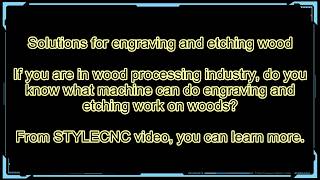 2019 The Best Laser Engravers for Wood etching [upl. by Adali352]