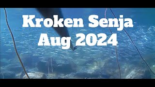 Vanlife Norway  Snorkling Kroken Senja Aug 2024 [upl. by Dinse797]