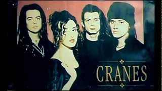 CRANES  live in vancouver 2002 Audio Full Album [upl. by Levison]