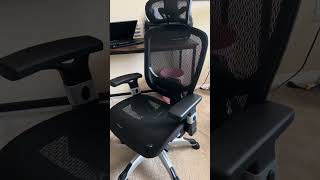 Ergonomic Mesh Office Chair Review [upl. by Emersen]