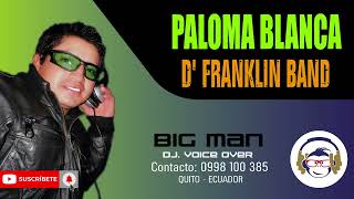 PALOMA BLANCA  D FRANKLIN BAND  2024 bigmandjmusic [upl. by Elroy]