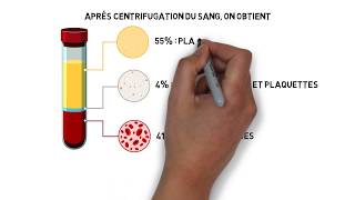 Milieu intérieur Part 02  Les compartiments liquidiens de lorganisme [upl. by Nallij]