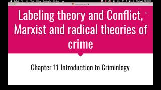 Ch 11 Introduction to Criminology [upl. by Partridge]