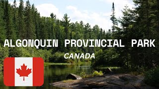 ALGONQUIN PROVINCIAL PARK CANADAS NATURAL GEM  Things To Do And Guide  CANADA TRAVEL algonquin [upl. by Lux]