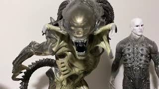 Sideshow Collectibles Predalien Maquette [upl. by Erdne847]