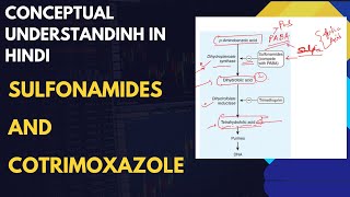 Sulfonamides and Cotrimoxazole pharmacology pharmacologymadeeasy pharmacologylectures [upl. by Zonnya959]