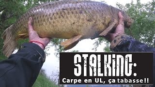 Pêche carpe en stalking en Loire et en UL  ça tabasse [upl. by Schaumberger]