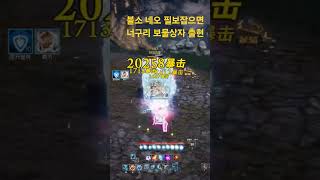 블소 네오 필드보스 처치시 랜덤으로 너구리 보물상자 출현 블소 mmorpg [upl. by Yggep]