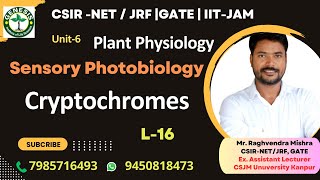 Cryptochrome  Structure Signaling amp Responses  Plant Physiology genesisinstitute [upl. by Gnof]