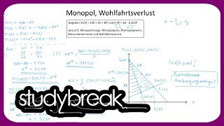 Monopol Wohlfahrtsverlust  Preistheorie [upl. by Sebbie]