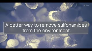 A better bioaugmentation method for removing sulfamethoxazole from the environment [upl. by Asiuqram396]