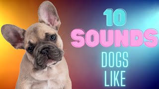 10 Sounds Dogs Like To Hear [upl. by Lamahj]