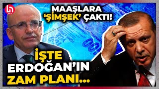 2025’te emekli ve asgari ücret ne kadar olacak AKPnin korkutan zam planını Evrim Zelyut ifşaladı [upl. by Eusassilem]