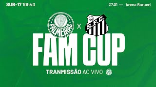 AO VIVO  PALMEIRAS 4 1 X 1 3 SANTOS  FAM CUP SUB17 2024 [upl. by Jaf]