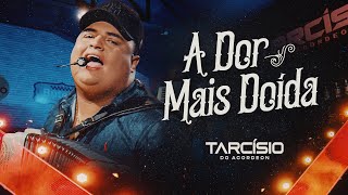 A DOR MAIS DOÍDA  Tarcísio do Acordeon DVD Meu Sonho [upl. by Rikahs359]