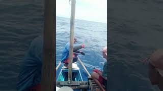 swordfish dalawang beses sinibatpero Isang Palo lang sa ulo mga katabas [upl. by Timmy]