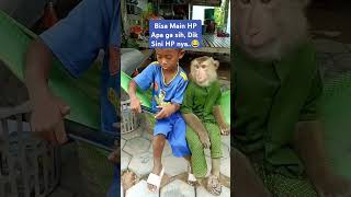 Nonton HP adiknya monyet monyetlucu bocil [upl. by Aseena]